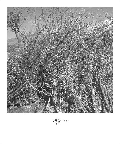 13 Big Western Landscapes, Fig. 11